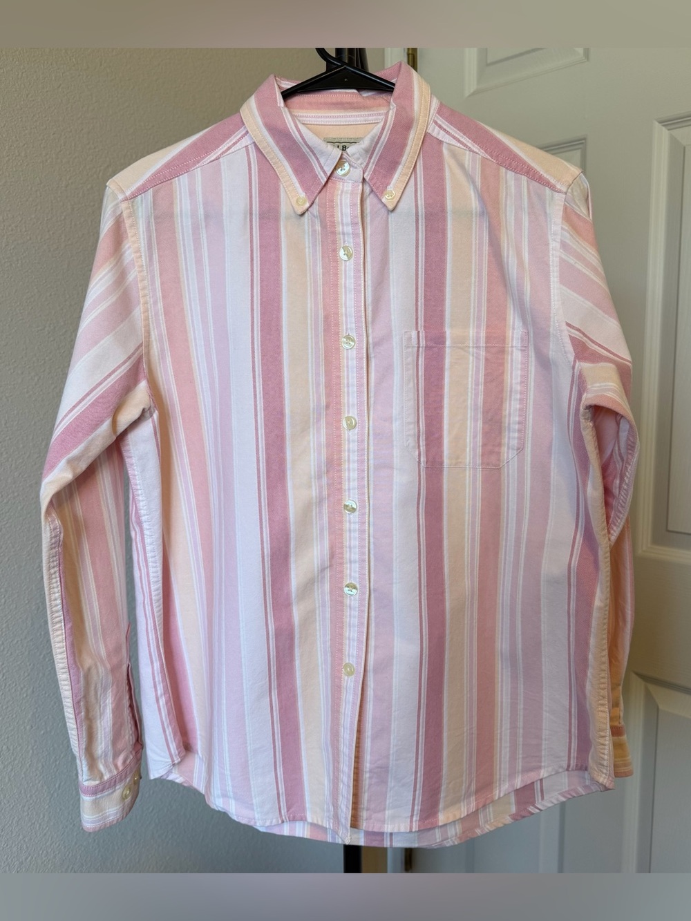 L.L. Bean women’s S striped pink cotton button-down shirt academia dopamine twee